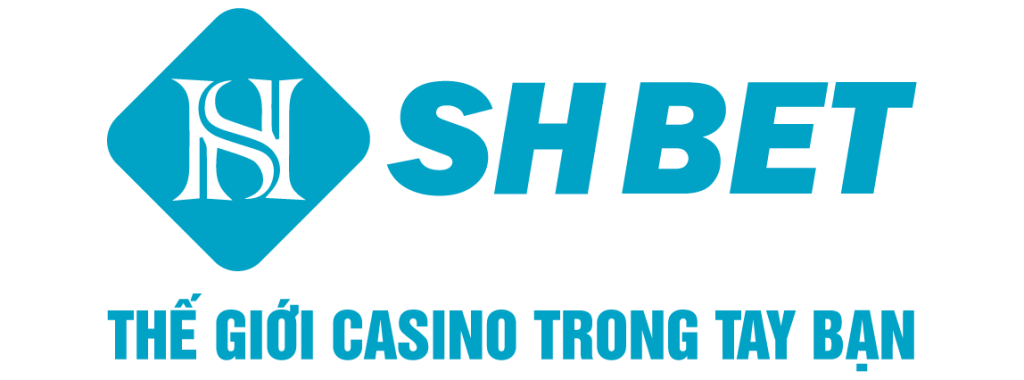 dtvseoblog.nl